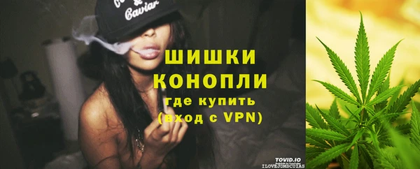стаф Верхний Тагил