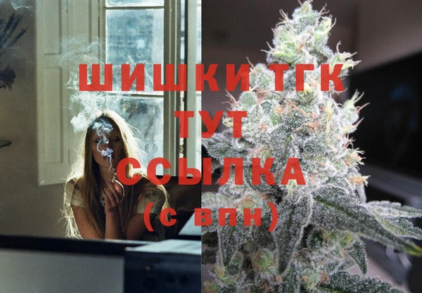 стаф Верхний Тагил