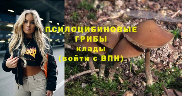 стаф Верхний Тагил