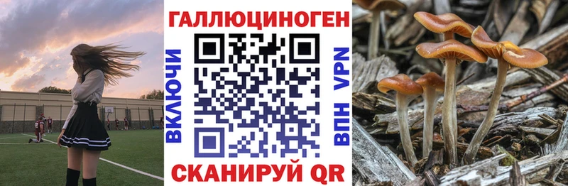 Купить закладки  Щёлково  Галлюциногенные грибы мухоморы 